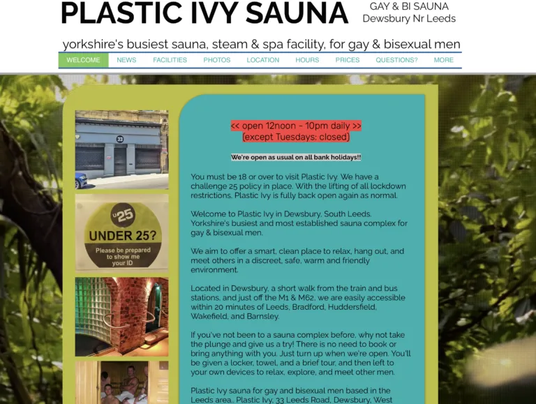 Plastic Ivy Gay Sauna Dewsbury