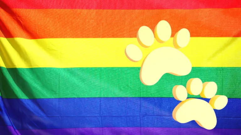 Gay Bears, Community, FAQ